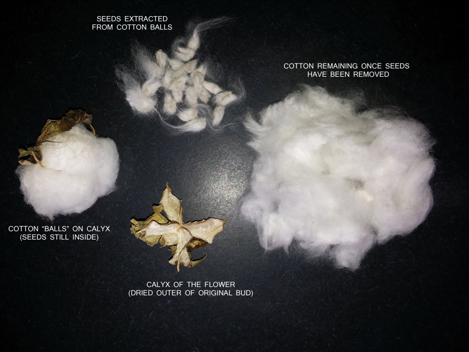 Cotton parts copy small